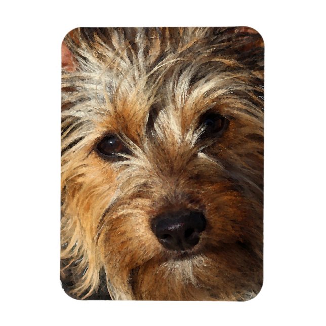Australian Silky Terrier Magnet (Vertikal)