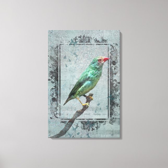 Australian Star Finch on Music Leinwanddruck (Vorderseite)
