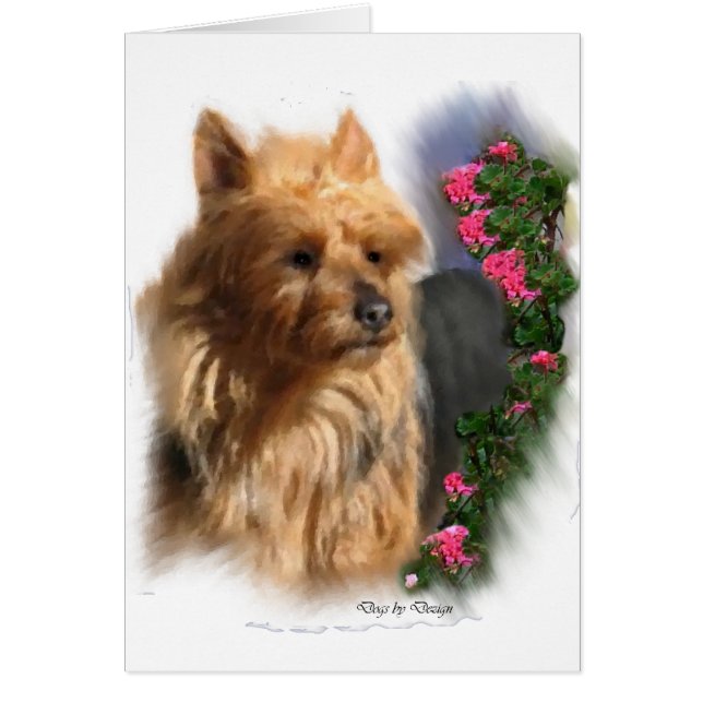 Australian Terrier Art Gifts (Vorne)