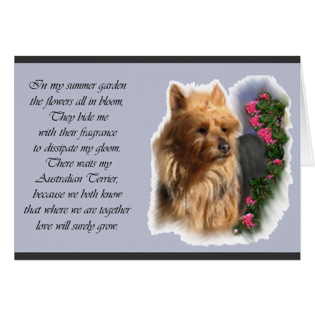 Australian Terrier Art Gifts (Vorderseite (Horizontal))