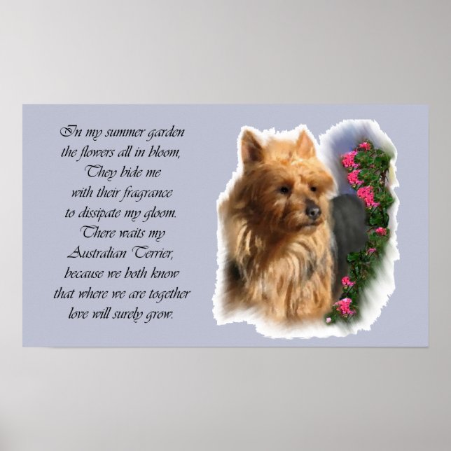 Australian Terrier Art Gifts Poster (Vorne)