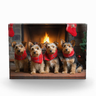 Australian Terrier by Fireplace Christmas Fotoblock