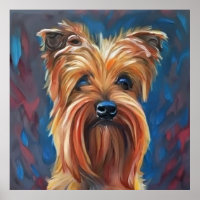 Australian Terrier - Dog Portrait