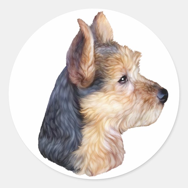 Australian Terrier HS Runder Aufkleber (Vorderseite)