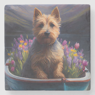 Australian Terrier on Paddle: Ein Landschaftliches Steinuntersetzer