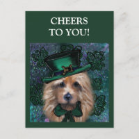 Australian Terrier