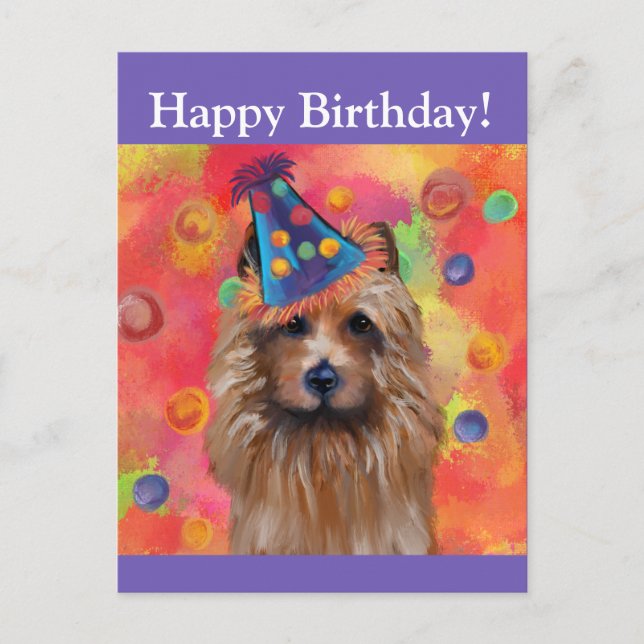 Australian Terrier Postkarte (Vorderseite)