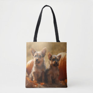 Australian Terrier Welpe Herbstfreude Kürbis