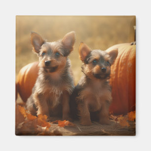 Australian Terrier Welpe Herbstvergnügen Kürbis Magnet