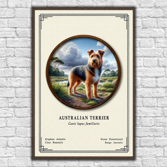 Australian Terrier Zoology Series Poster (Von Creator hochgeladen)
