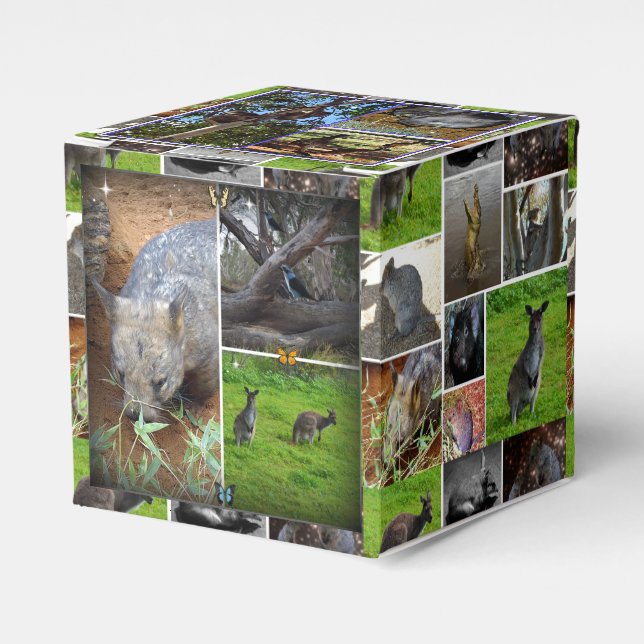 Australian Wildlife Collection Geschenkschachtel (Vorderseite)