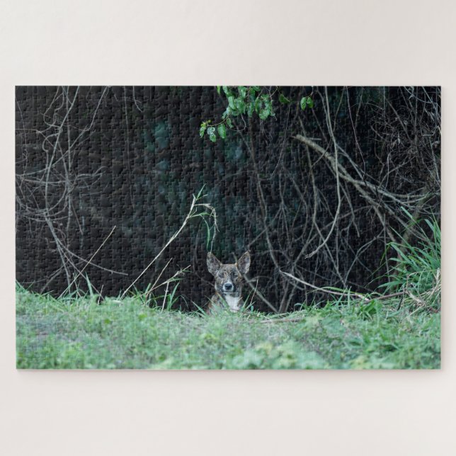 Australian Wildlife Dingo Puppy  Puzzle (Horizontal)