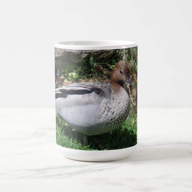 Australian Wood Duck in Tranquil Garden Kaffeetasse (Mittel)