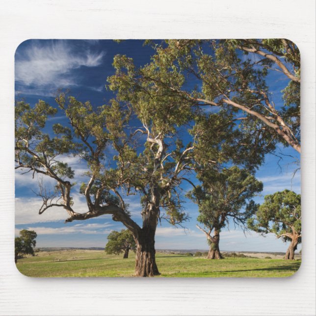 Australien, Barossa-Tal, Monte Pleasant Mousepad (Vorne)