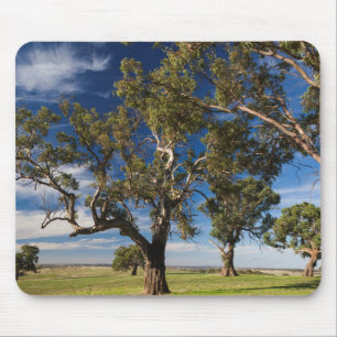 Australien, Barossa Valley, Mount Pleasant Mousepad