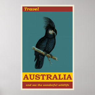 Australien Black Cockatoo Bird Vintage Travel Poster