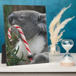 Australien Christmas Koala Bear Fotoplatte