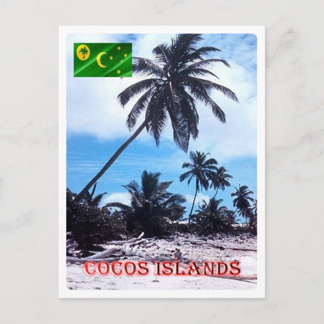 Australien - Cocos (Keeling) Inseln - Palmen - Postkarte (Vorderseite)
