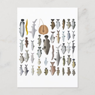Australien Freshwater Fish Group Postkarte