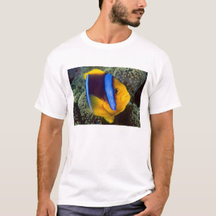 Australien, Great Barrier Reef, Anemonefisch T-Shirt