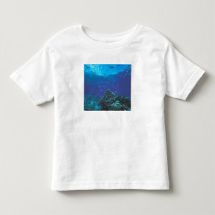 Australien, Great Barrier Reef. Schwarm von Lila Kleinkind T-shirt