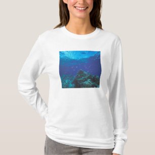 Australien, Great Barrier Reef. Schwarm von Violet T-Shirt