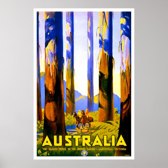 Australien, große Bäume in Marysville, Victoria Poster (Vorne)