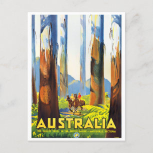 Australien Hochbaumreise Postkarte