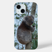 Australien Kangaroo Insel Koala in einem Baum