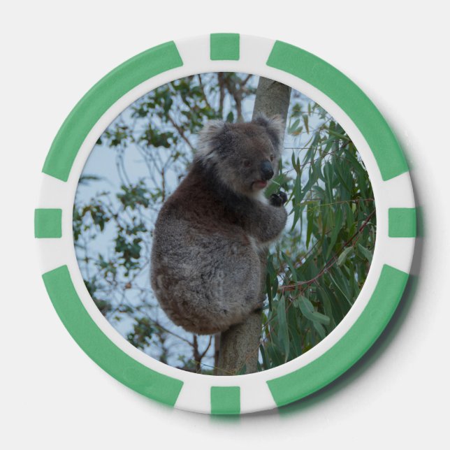 Australien Kangaroo Insel Koala in einem Baum Pokerchips (Vorderseite)
