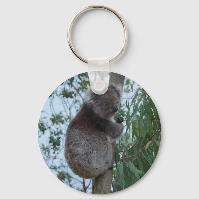 Australien Kangaroo Insel Koala in einem Baum Schlüsselanhänger (Vorderseite)