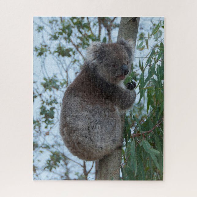 Australien Kangaroo Insel Koala Tree, 520 Stück Puzzle (Vertikal)