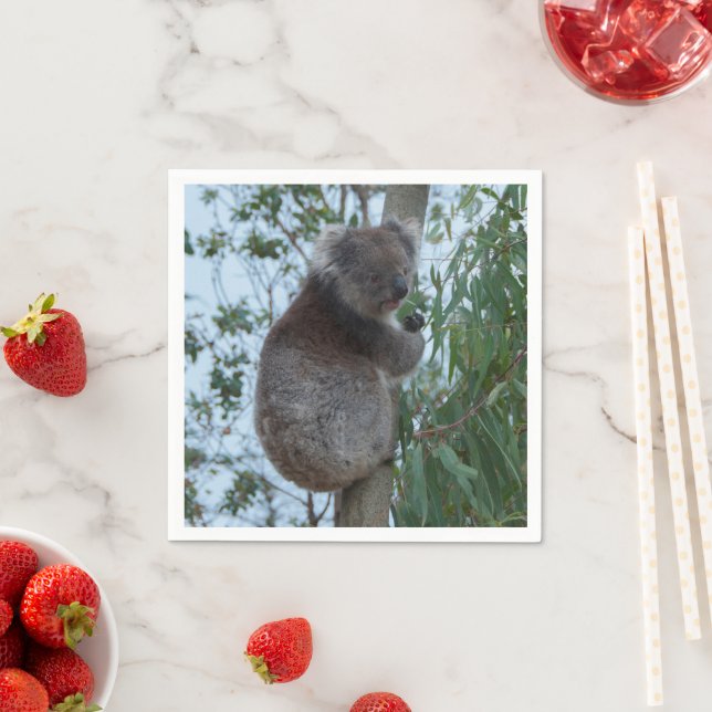 Australien Kangaroo Insel Niedlich Koala in einem  Serviette (Beispiel)