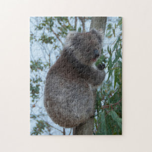 Australien Kangaroo Island Koala Tree, 252 Stück Puzzle