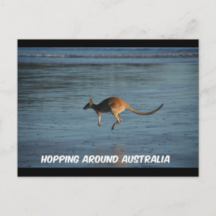 Australien Kangaroo Postcard Postkarte