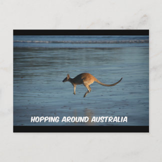 Australien Kangaroo Postcard Postkarte