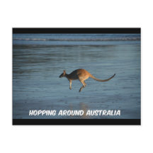 Australien Kangaroo Postcard