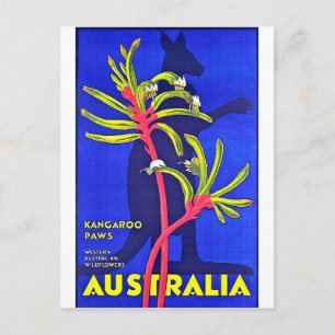 Australien, Känguru-Pfoten, australische Wildblume Postkarte