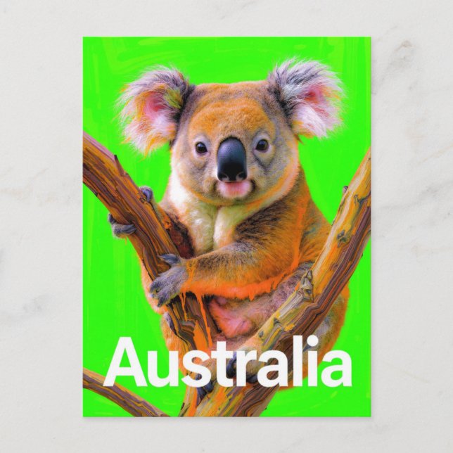 Australien Koala Bär Pop Art Postkarte (Vorderseite)