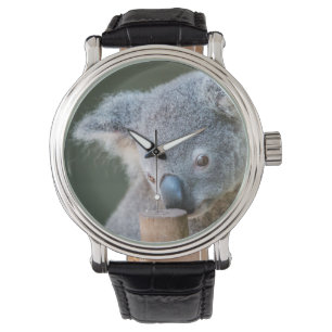 Australien Koala Bear Classic Uhr