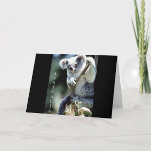 Australien Koala Bear Karte