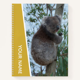 Australien Koala in einem Eukalyptusbaum, Gold Notizbuch