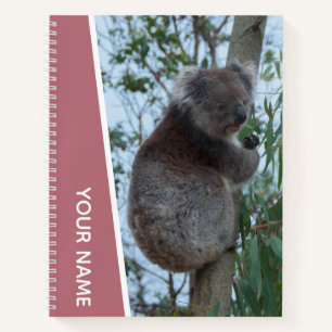 Australien Koala in einem Eukalyptusbaum, Rose Gol Notizbuch