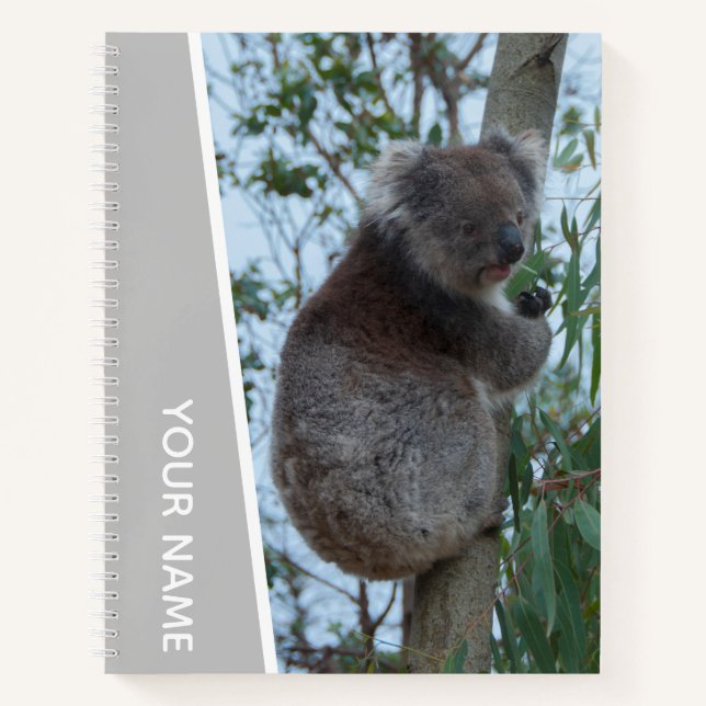 Australien Koala in einem Eukalyptusbaum, Silber Notizbuch (Vorderseite)