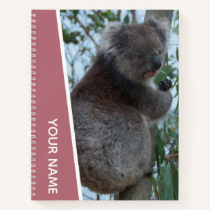 Australien Koala Portrait Foto, Rose Gold Notizbuch