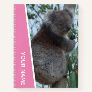 Australien Koala Porträt Foto, Rosa Mädchen Notizbuch
