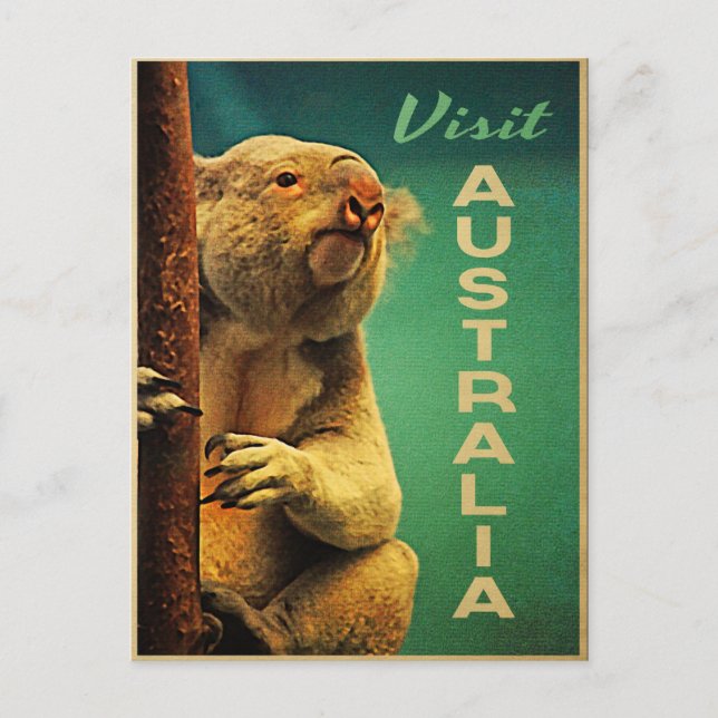 Australien Koala Postkarte (Vorderseite)