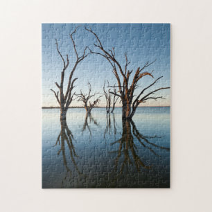 Australien, Murray River Valley, Barmera, Lake Puzzle