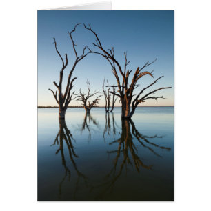 Australien, Murray River Valley, Barmera, See
