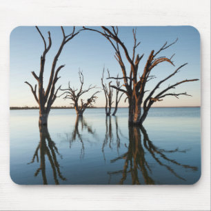 Australien, Murray River Valley, Barmera, See Mousepad
